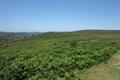 Smallacombe Rocks Photo