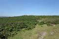 Smallacombe Rocks Photo