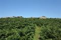 Smallacombe Rocks Photo