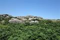 Smallacombe Rocks Photo