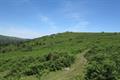 Tunhill Rocks Photo