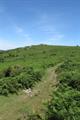 Tunhill Rocks Photo