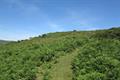 Tunhill Rocks Photo