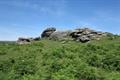 Tunhill Rocks Photo