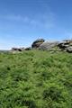Tunhill Rocks Photo