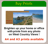 Buy prints link