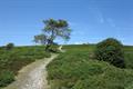 Black Down 10Photo Black Down Photo