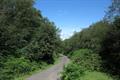 Haddon Photo
