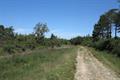 Ideford Common Photo