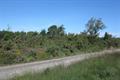 Ideford Common Photo