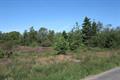 Ideford Common Photo
