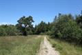 Ideford Common Photo