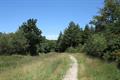 Ideford Common Photo