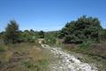 Ideford Common Photo