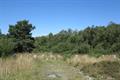 Ideford Common Photo