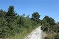 Ideford Common Photo