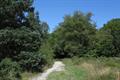 Ideford Common Photo