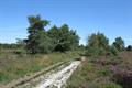 Ideford Common Photo