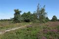 Ideford Common Photo
