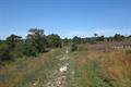 Ideford Common Photo