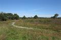 Ideford Common Photo