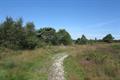 Ideford Common Photo