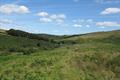 Landacre Photo