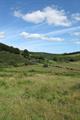 Landacre Photo