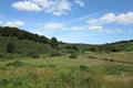 Landacre Photo