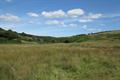 Landacre Photo