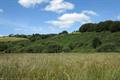 Landacre Photo