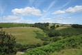 Landacre Photo