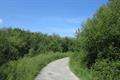 Meeth Quarry Photo
