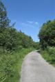 Meeth Quarry Photo