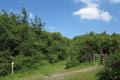 Meeth Quarry Photo