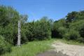 Meeth Quarry Photo