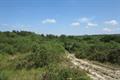 Meeth Quarry Photo