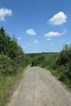 Meeth Quarry Photo