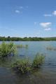 Meeth Quarry Photo