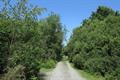Meeth Quarry Photo