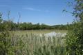 Meeth Quarry Photo