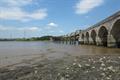Tavy Bridge Photo