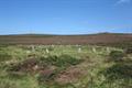 Tregeseal Circle Photo