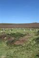 Tregeseal Circle Photo
