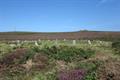 Tregeseal Circle Photo
