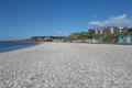 Budleigh Photo