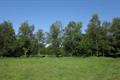 Cann Wood 05Photo Cann Wood Photo