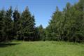 Cann Wood 06Photo Cann Wood Photo