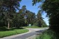 Haldon Forest Photo