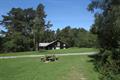 Haldon Forest Photo